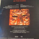 Grateful Dead: In the Dark LP - pikkukuva 2