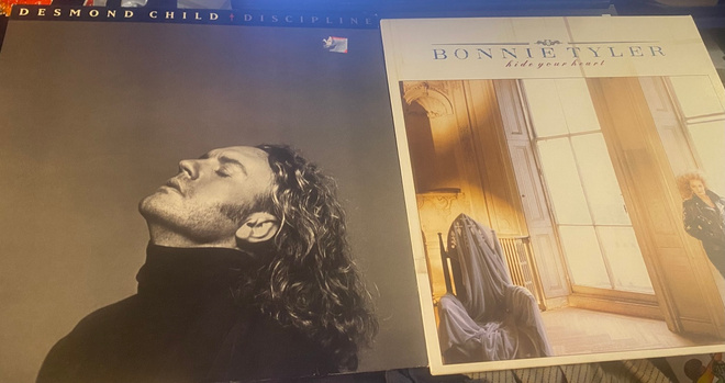 Desmond Child x 2: Discipline & Bonnie Tyler: Hide Your…