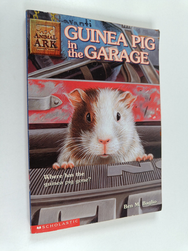Ben M. Baglio : Guinea Pig in the Garage