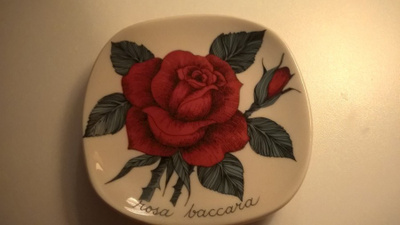 Rosa Baccara Esteri Tomula Arabia Ruusu seinälautanen