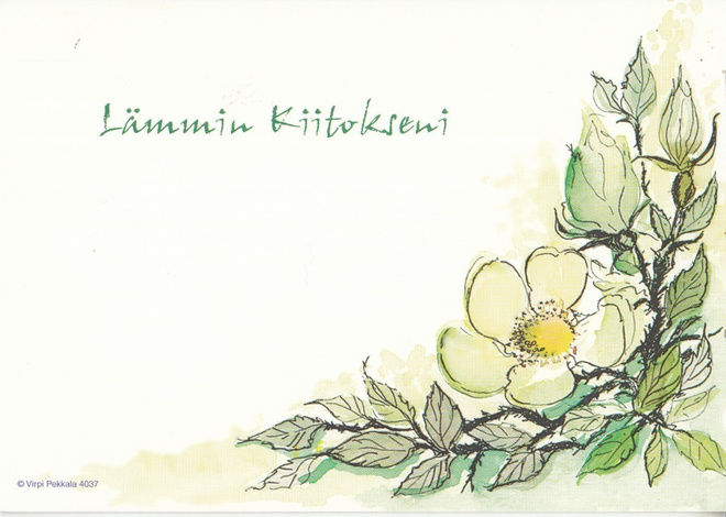 Virpi Pekkala 4037 Lämmin  Kiitokseni p291