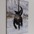 Nuusku 1/2013 - pikkukuva 1