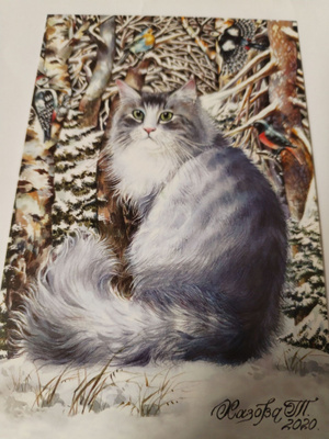 Kissa kortti, kulkematon.