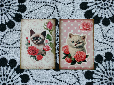 ~Kissa kortti~ 2kpl