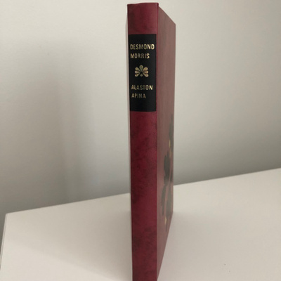 Desmond Morris : Alaston apina