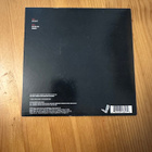 Mark Lanegan band hit the city  7” - pikkukuva 2