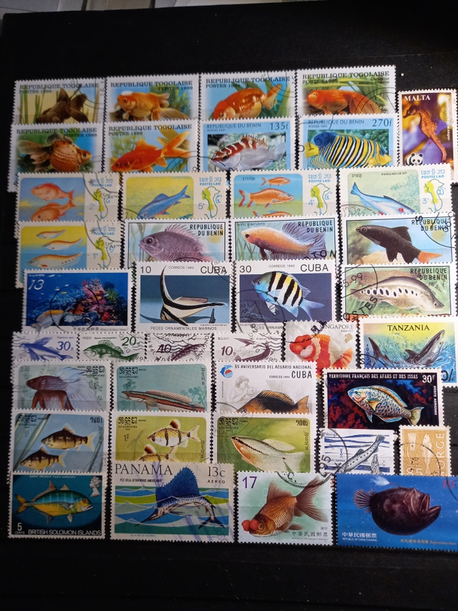 KALAT eläinaihetta suuri erä merkkejä o