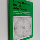 Norman S. Brandes : Group therapy for the adolescent - pikkukuva 1