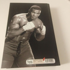 Mike Tyson - Larry Sloman: Tyly totuus - pikkukuva 2