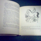 Kaarina Helakisa: Taikapuu (2.p.1971) Sis.postikulut - pikkukuva 5
