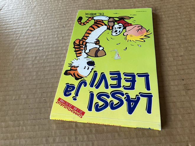 LASSI JA LEEVI SUNNUNTAISARJAT 4 HYVÄ