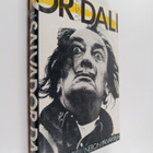 Salvador Dali : Neron päiväkirja - pikkukuva 1