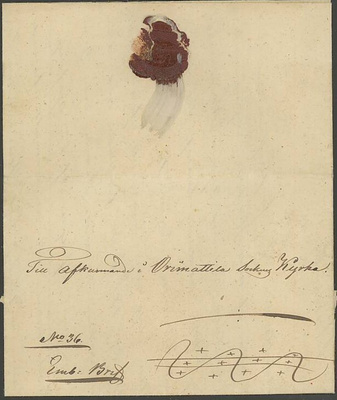 1852 sulkakirje Orimattilan kirkkoon