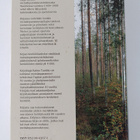 Kaino Tuokko : Metsänparantajat kansakunnan asialla 1908-... - pikkukuva 2