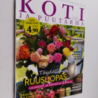 Koti ja puutarha 1/2011 - pikkukuva 1