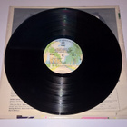 THE HUES CORPORATION I GAUGHT YOUR ACT  LP   1977 - pikkukuva 4