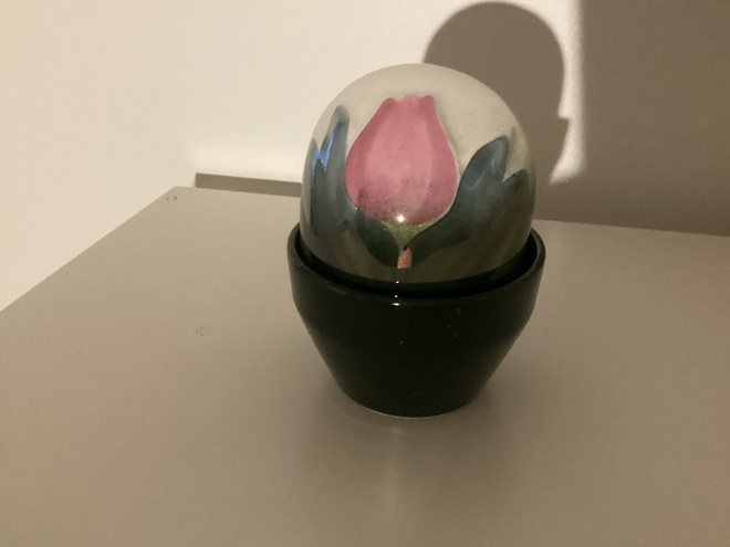 Ikikukka Heljä Liukko-sundströmm tulppaani