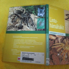 LINTUHÄMÄHÄKIT - lemmikin maailma !! - pikkukuva 2