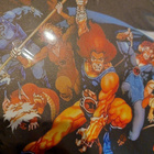 Thundercats metalli kyltti - pikkukuva 2