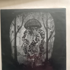 Godmaker, Somnuri – Godmaker/Somnuri Split >>[LP] - pikkukuva 2