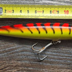 Rapala magnum! - pikkukuva 2
