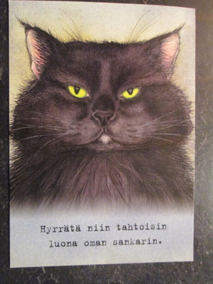 KULKEMATON KISSAKORTTI HYRRÄTÄ NIIN TAHTOISIN LUONA OMAN SAN