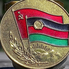 CCCR - Afganistan kunniamerkki Ruuvina!!!!! Hyväkuntoinen. - pikkukuva 2