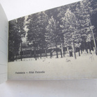 Postikorttivihko 10 kpl Hotelli Finlandia Punkaharju 1900-l - pikkukuva 5