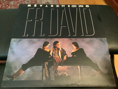 F. R. DAVID - REFLECTIONS