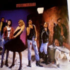 STEVE ROGERS BAND :: ALZATI LA GONNA :: VINYYLI LP 1988 - pikkukuva 3
