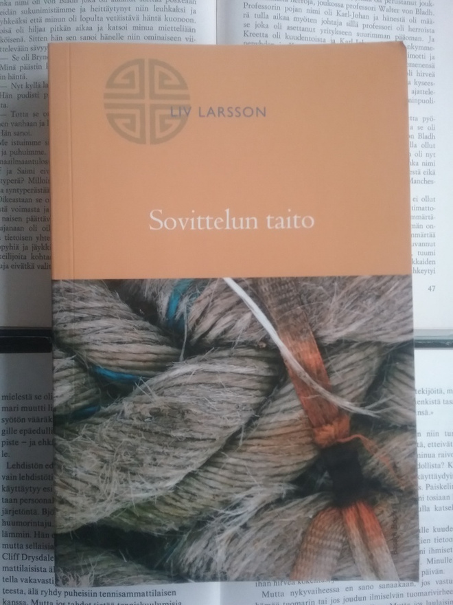 Liv Larsson - Sovittelun taito (nid.)