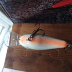 Ruthless Rattlin Crank Shallow 6,5cm - pikkukuva 4