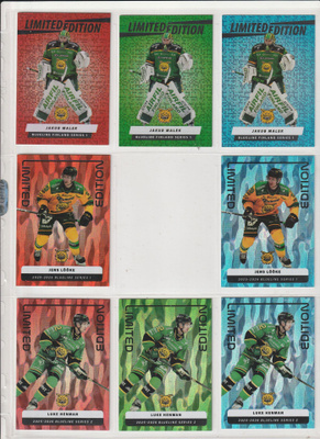Ilves Limited edition Blueline 24-25 / 25-26 s1 / 25-26 s2