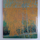 Vladimir Leniashin : The Soviet character : paintings by ... - pikkukuva 2