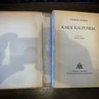 Charles Dickens: Kaksi kaupunkia - pikkukuva 2