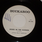 7" LITTLE BILLY NEWTON - Why Did I Do It - single country EX - pikkukuva 2