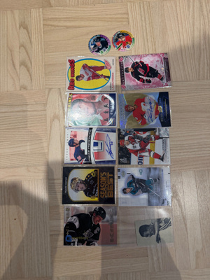Riitti!ässätimmonen!ässät!selänne!