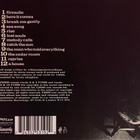 Doves – Lost Souls - pikkukuva 2