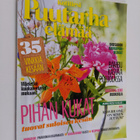 Kotiliesi 7/2015 : Puutarhaelämää - pikkukuva 1