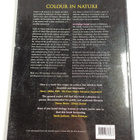Penelope A. Farrant : Color in Nature - A Visual and Scie... - pikkukuva 2