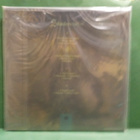 KIVIMETSÄN DRUIDI - SHADOWHEART UUSI 2LP - pikkukuva 2