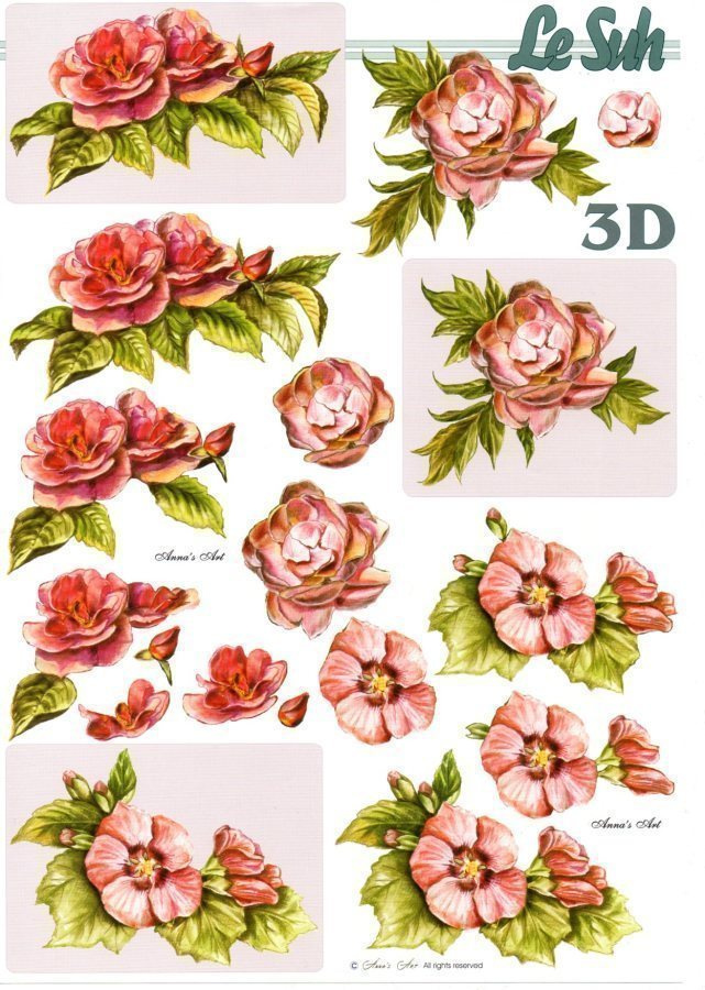 3D "°PUNAISET RUUSUNKUKAT°" /Le Suh