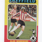 Purkkakuva Jalkapallo n:o 205 ALAN WOODWARD  Sheffield Unit - pikkukuva 1
