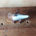 Rapala mini Fat Rap-3 Finland - pikkukuva 4