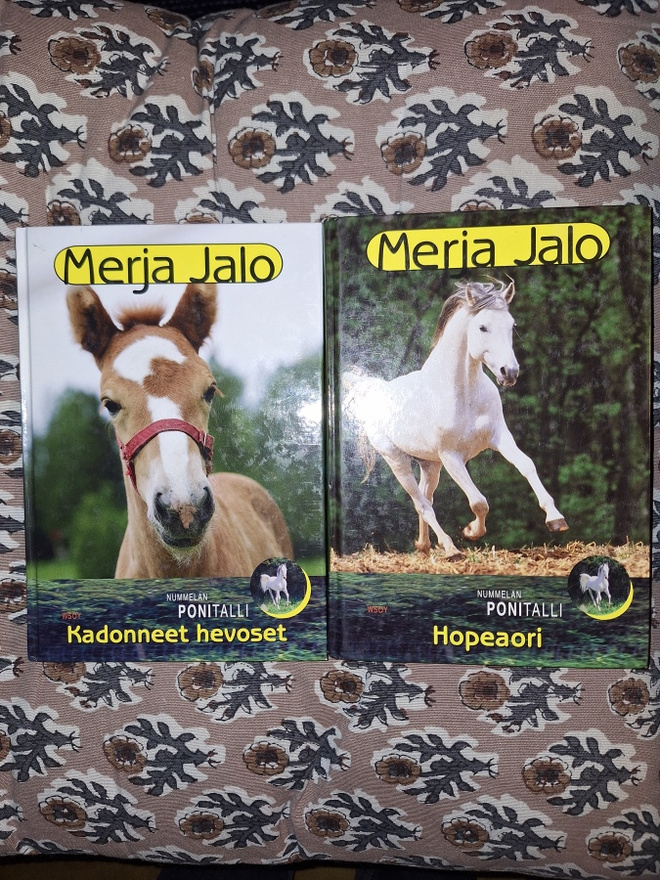 Merja Jalo : 2 Nummelan ponitallikirjaa 1p