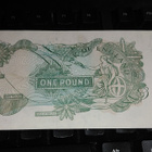 Englanti England 1 Pound P374 1966-77 XF+ - pikkukuva 2
