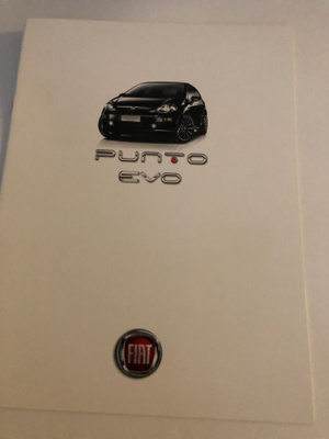 Myyntiesite - Fiat Punto Evo - 2010