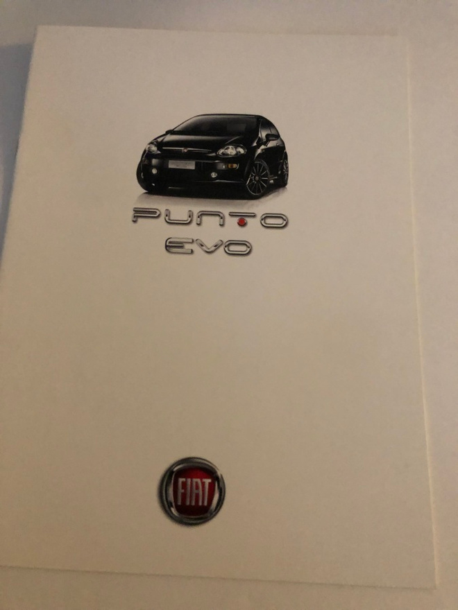 Myyntiesite - Fiat Punto Evo - 2010