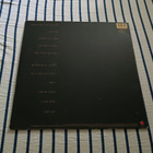 Tracy Chapman – Tracy Chapman lp 1988 Folk Rock - pikkukuva 2