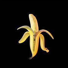 DANDY WARHOLS: Welcome to the Monkey House (CD)
